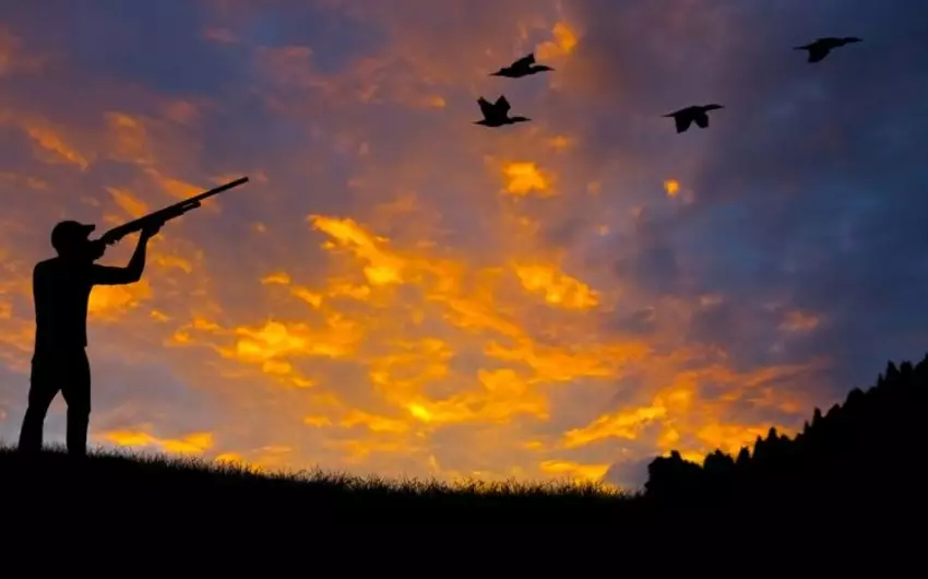 Şabranda qanunsuz ov edən şəxslər saxlanılıblar