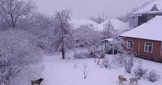 Lerikdə qarın hündürlüyü 79 sm-ə çatıb - Faktiki hava