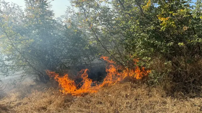 Cəlilabadda dağlıq ərazidə baş vermiş yanğın tam söndürülüb