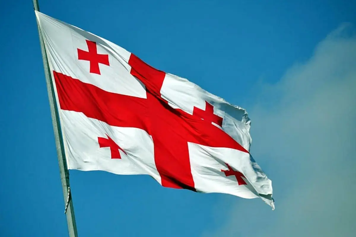 Gürcüstan DİN: Türkiyə təyyarəsinin qəzaya uğraması ilə bağlı istintaq başlanıb