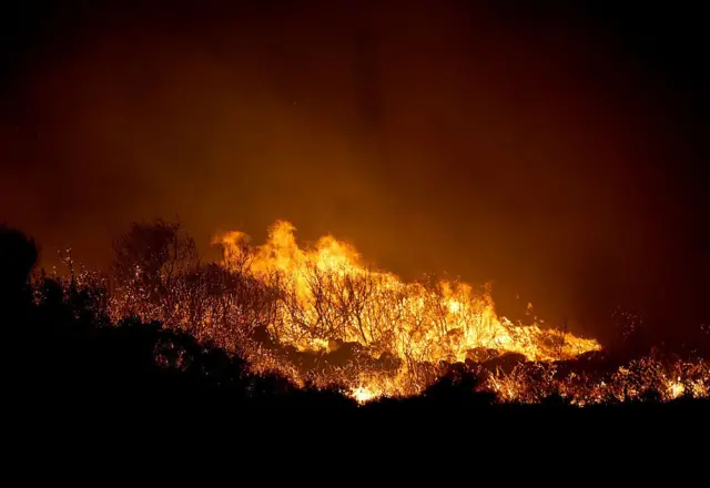 İstanbulda meşə yanır