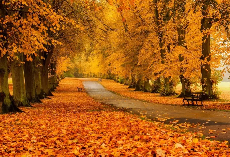 Azərbaycana payız fəsli daxil oldu