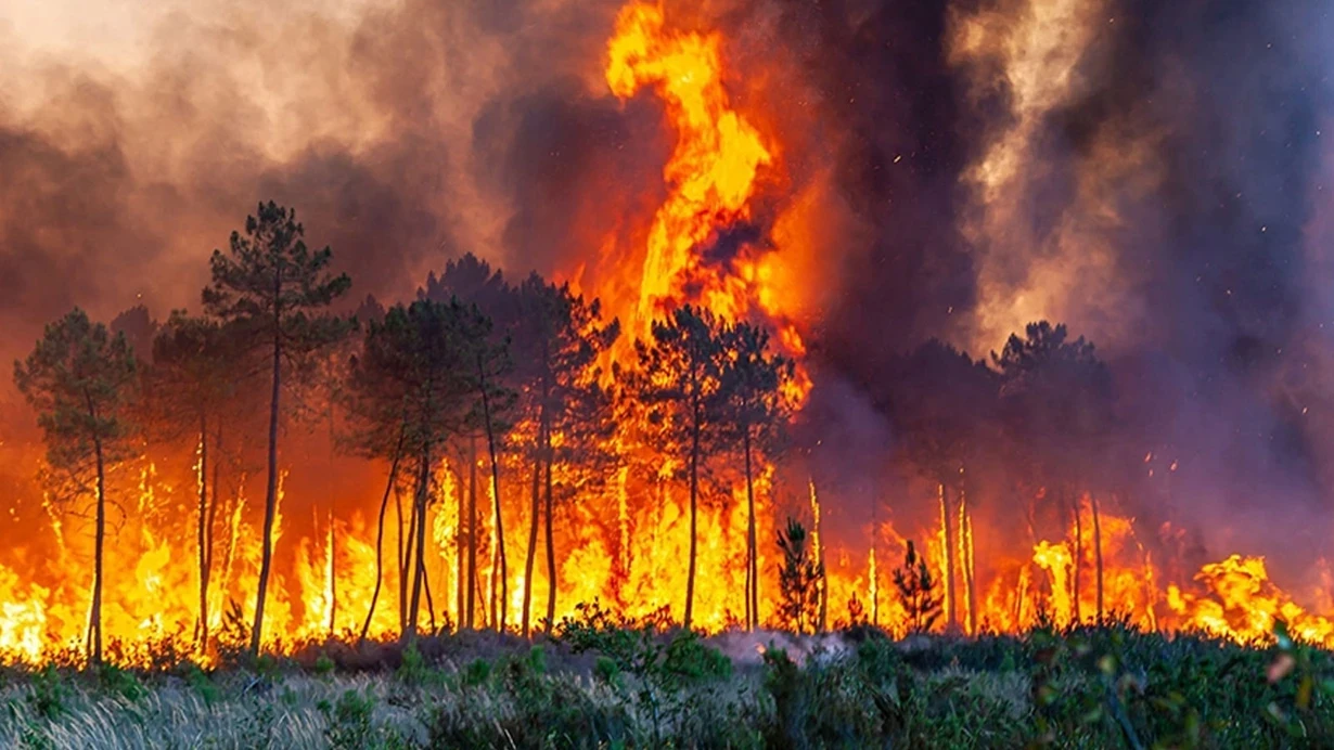 Kanada güclü meşə yanğınları ilə üz-üzə