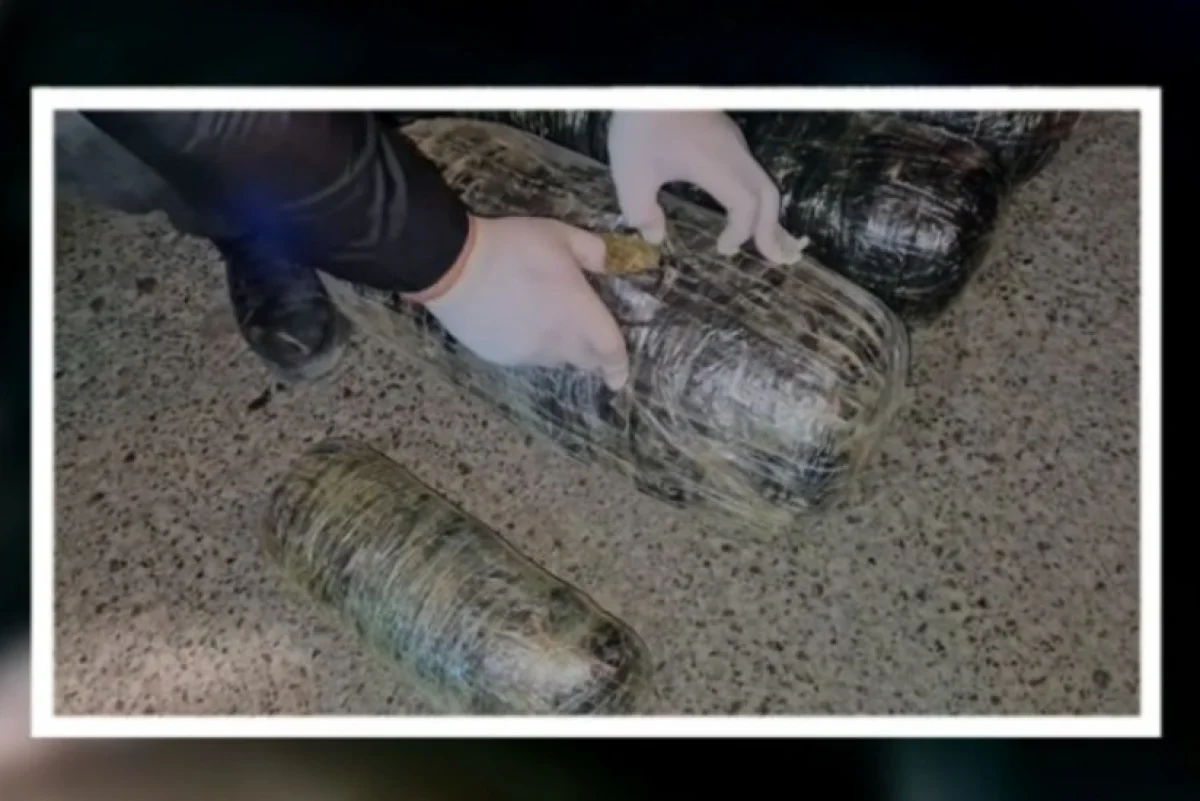 Neftçalada iri həcmli narkotik dövriyyəsinin qarşısı alınıb