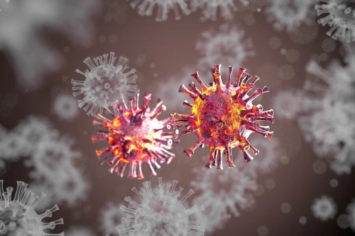 Nipah virus detected in Thailand's fruit bats