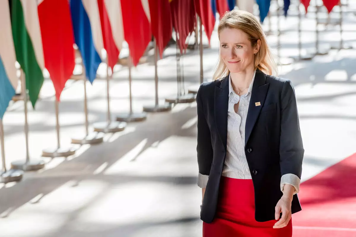 Estoniya rəsmiləri ölkə təhlükəsizliyinin nəyə əsaslandığını açıqlayıblar