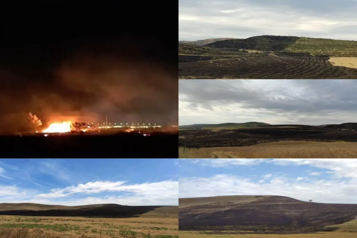 Şabranda əkin sahələrinin yandırılmasına görə 2 nəfər saxlanılıb