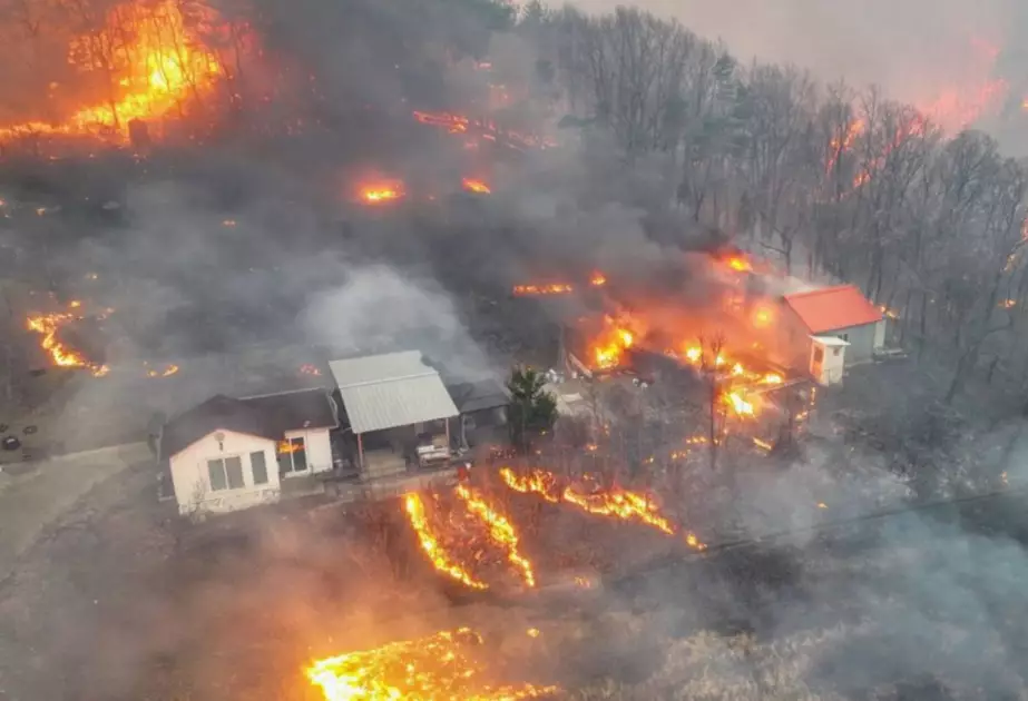 Cənubi Koreya meşə yanğınları ilə mübarizə aparır