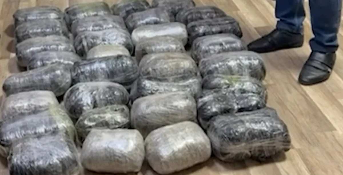 DİN-dən əməliyyat: 49 kq narkotik tapıldı