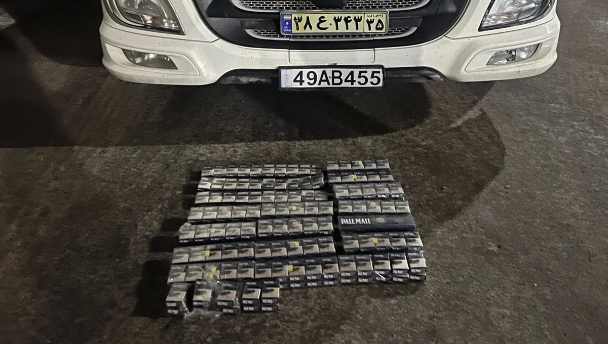 ГПС Азербайджана пресекла контрабанду на 10,9 млн манатов