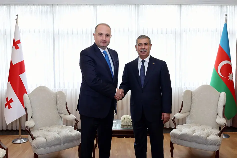 Zakir Həsənov gürcüstanlı həmkarı ilə görüşdü