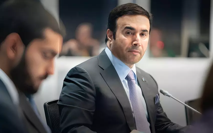 “Interpol”un prezidenti: "Ekoloji cinayətlə mübarizə onun arxasında duran maliyyə mexanizmlərini ifşa etməklə başlayır"