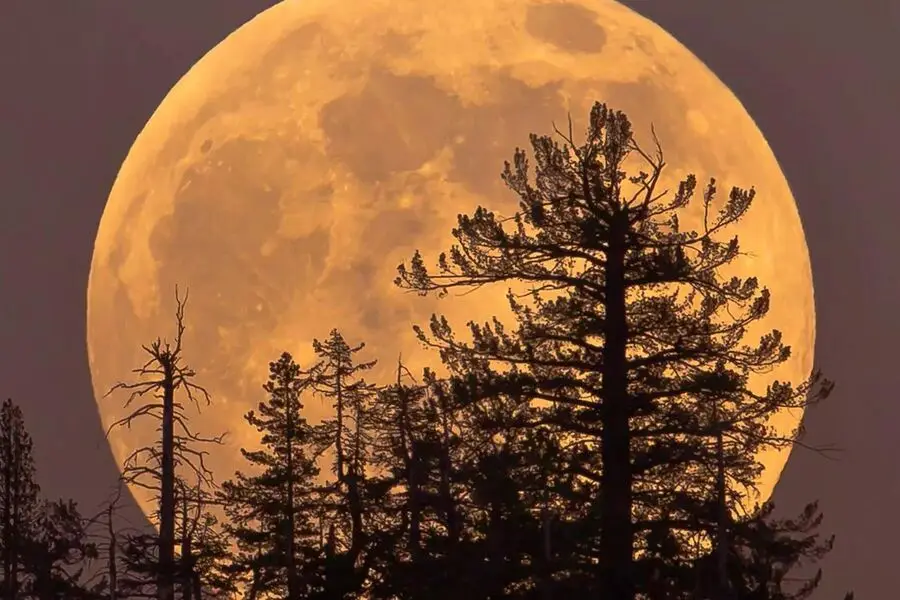 2025-ci ilin ilk super ayı oktyabrın 6-da səmanı işıqlandıracaq