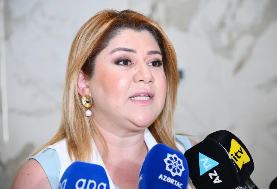 Xaricdə təhsillə bağlı Dövlət Proqramına builki müraciətlərdə ilk beşlikdə yer alan ölkələrin adları açıqlanıb