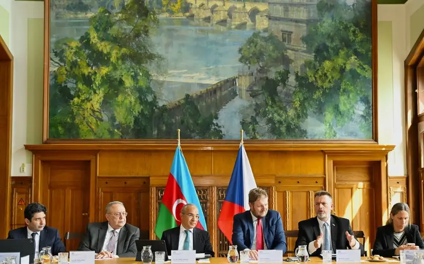 Azərbaycanda 25 Çexiya şirkəti fəaliyyət göstərir