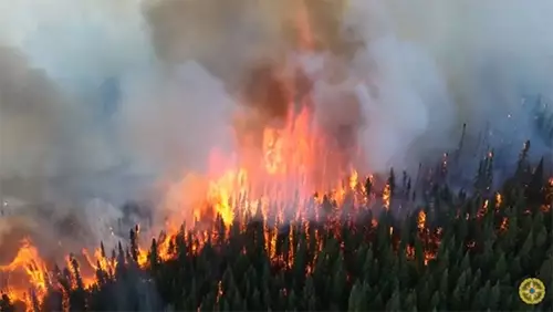 FHN meşələrin yanğın təhlükəsizliyinə dair əhaliyə müraciət edib - VİDEO