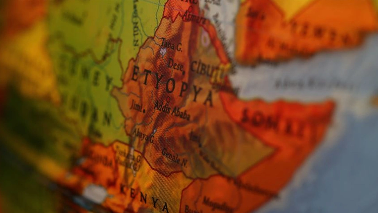 Efiopiyanın keçmiş dövlət naziri terrora görə saxlanılıb