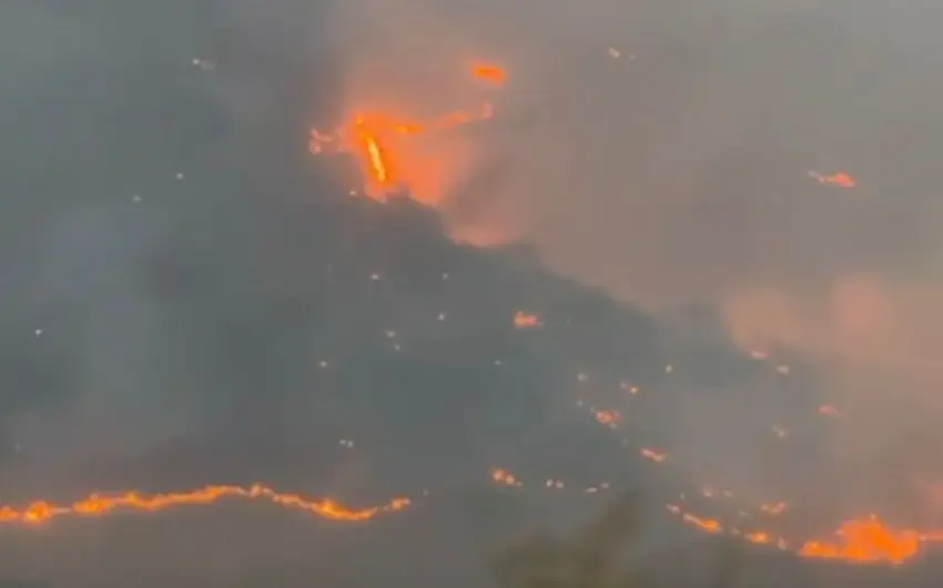 Zəngilanda yanğın törədən şəxs müəyyən edilib