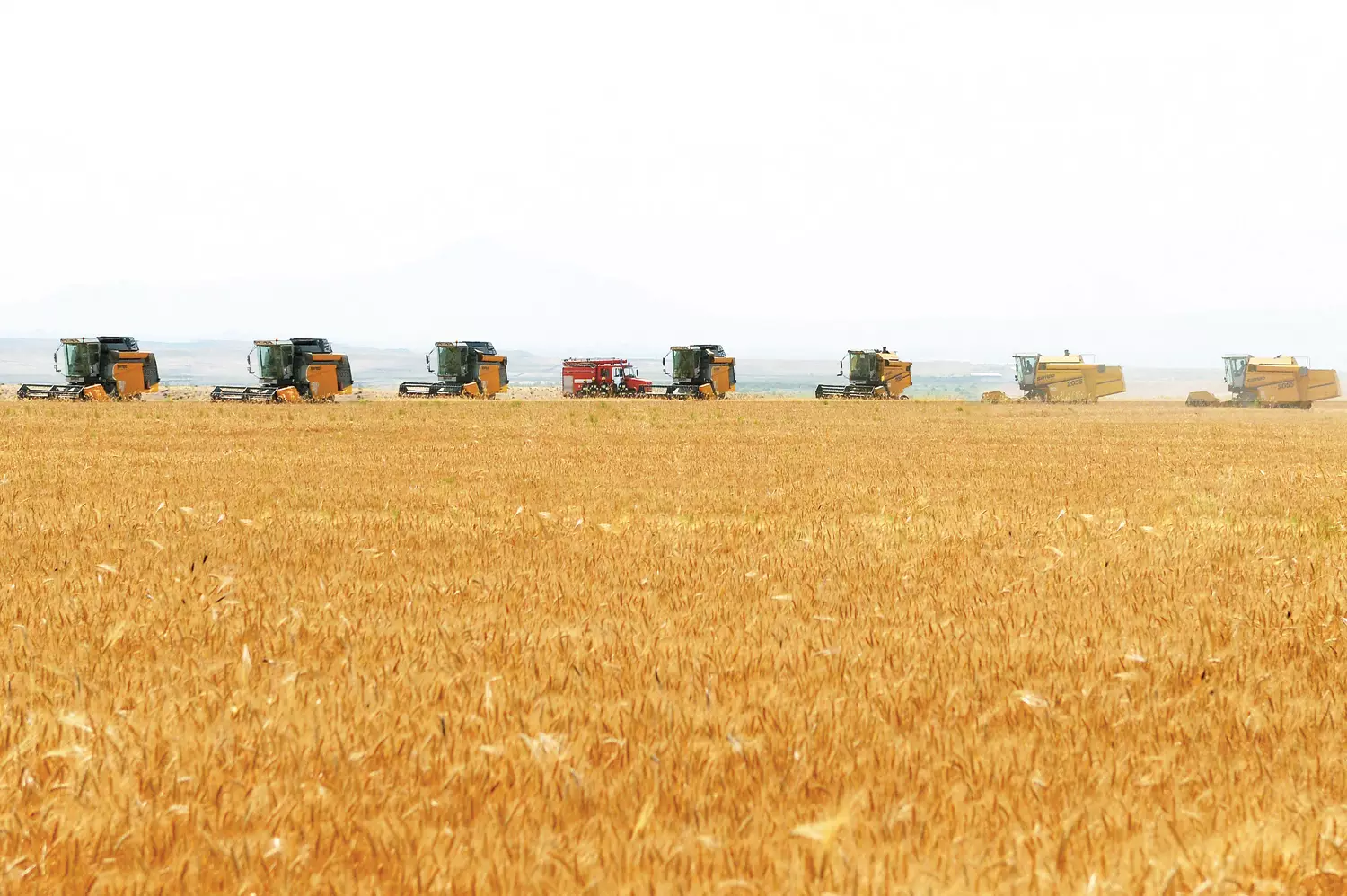 Taxıl müqaviləsi uzadılmayacaq