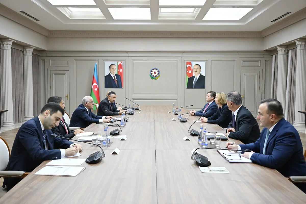 Əli Əsədov BP rəhbərliyi ilə əməkdaşlığı müzakirə etdi