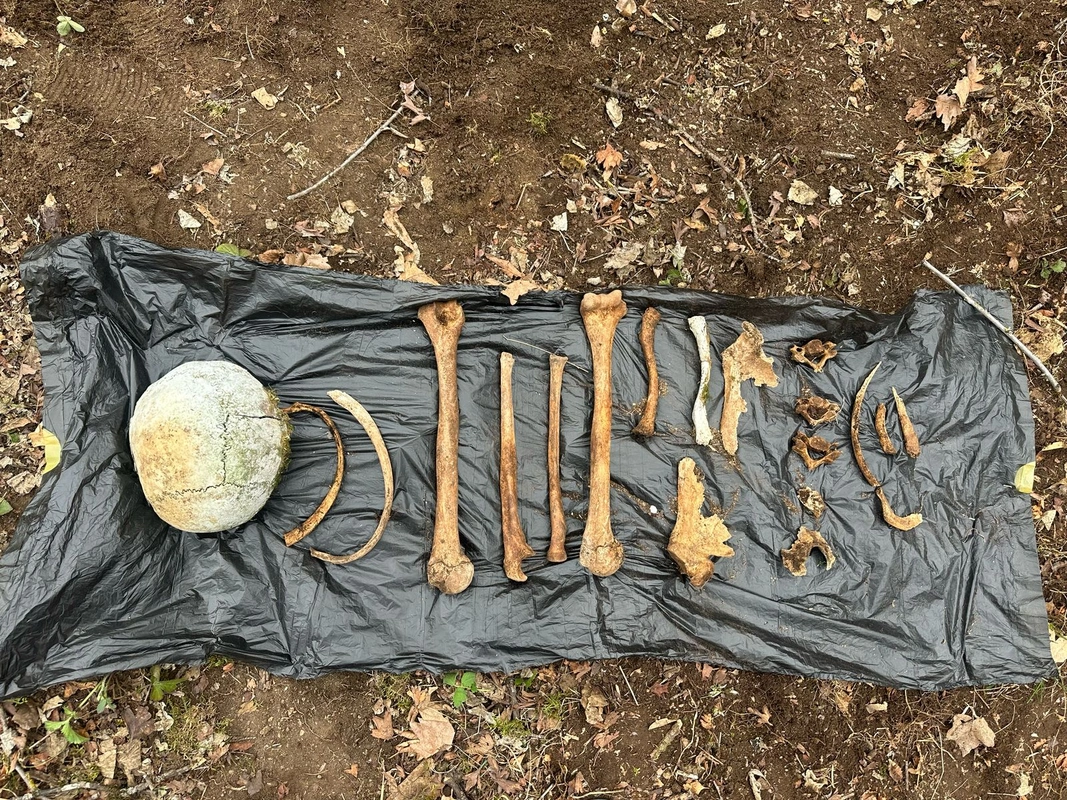 Ağdamda azad edilmiş ərazidə sümük qalıqları tapılıb, araşdırma aparılır - YENİLƏNİB