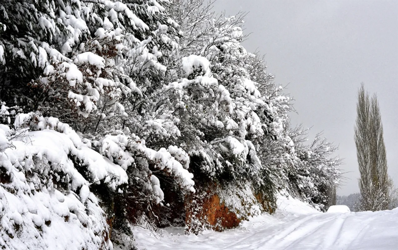 Diqqət: Qar yağacaq və yollar buz bağlayacaq