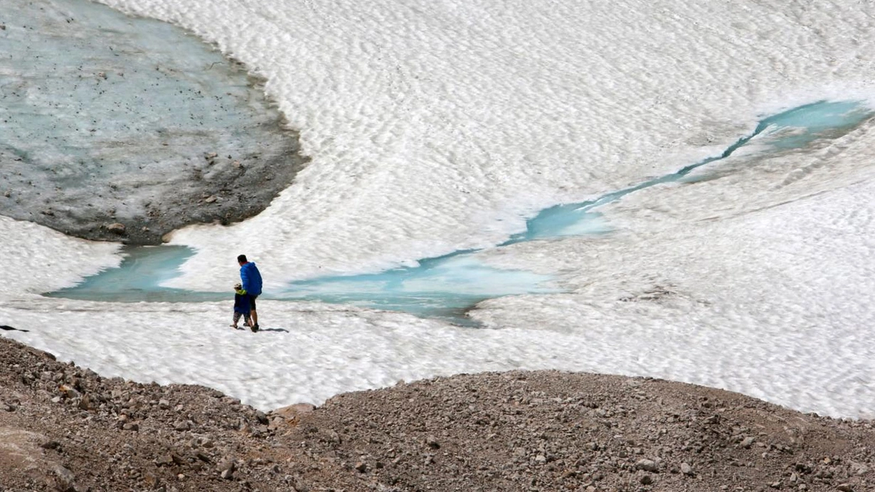Alimlər həyəcan təbili çalır: Artıq gecdir