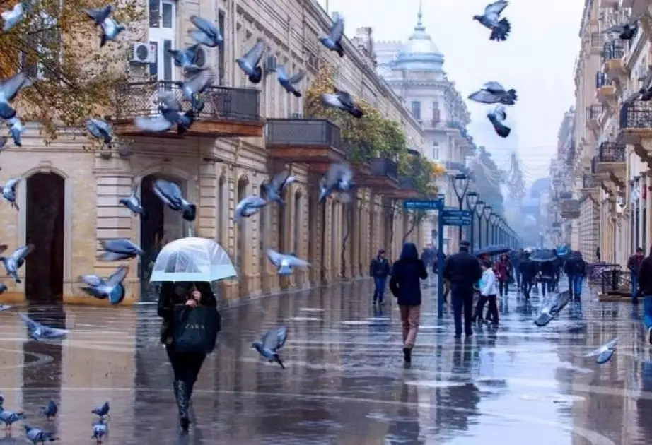 Yağışlı hava bu tarixə kimi davam edəcək