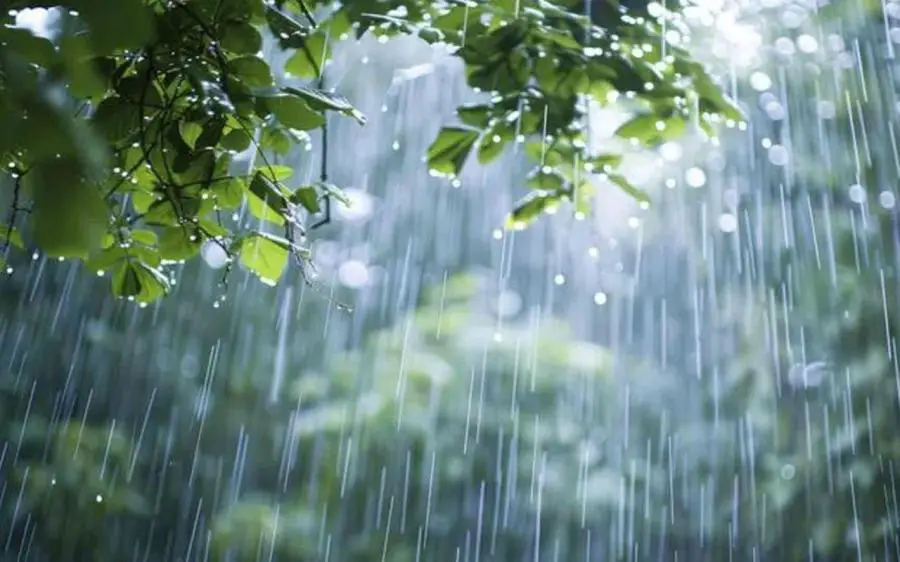 Bəzi yerlərdə leysan olub - FAKTİKİ HAVA