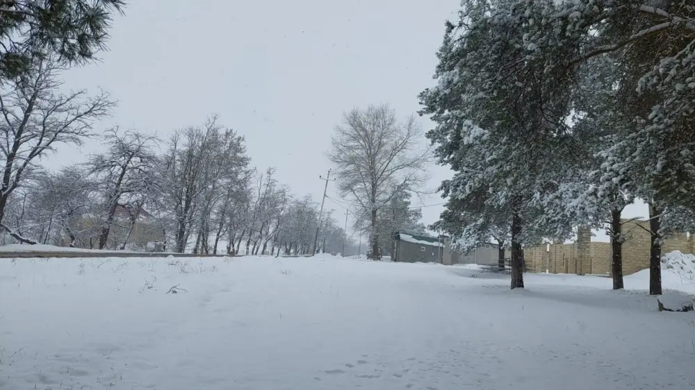 Bölgələrə qar yağıb