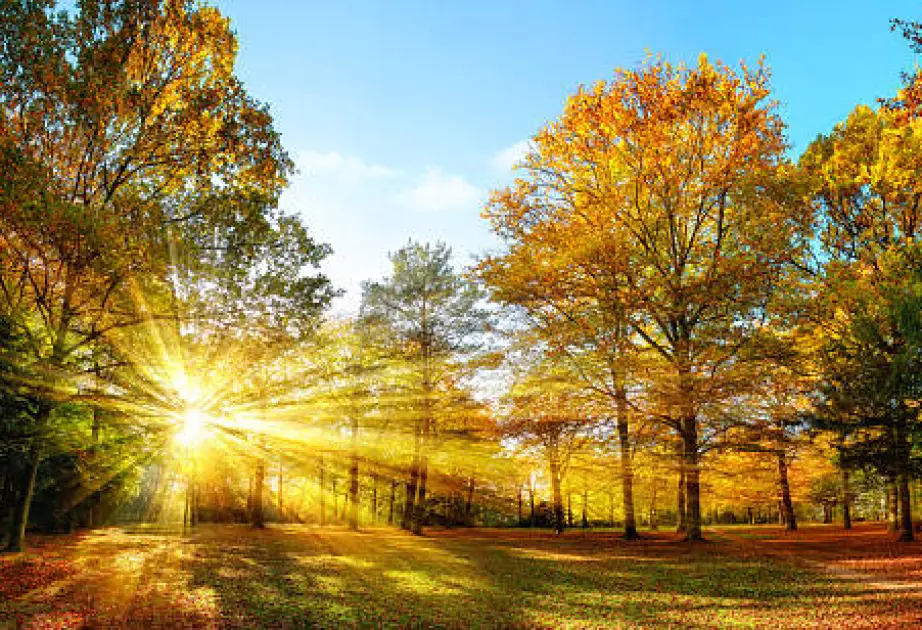 Sabah paytaxtda 22-26, bölgələrdə 22-27 dərəcə isti olacaq