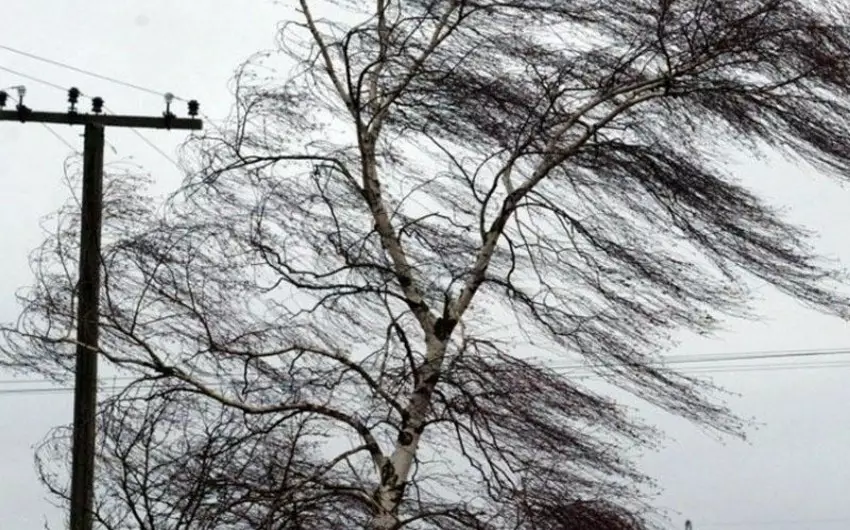 Küləkli havaya görə xəbərdarlıq edilib