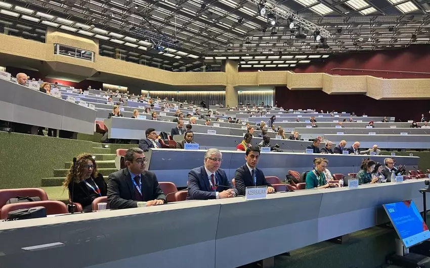 Azərbaycanın üzləşdiyi mina problemi BMT-də müzakirə olunub