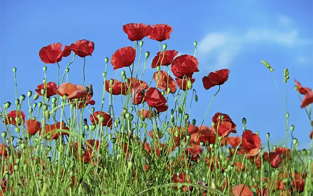 Sabah 21° isti olacaq