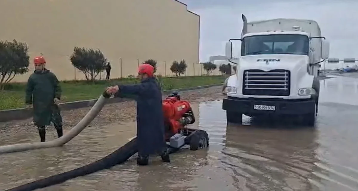 FHN Bakı və rayonlarda suçəkmə işlərini davam etdirir
