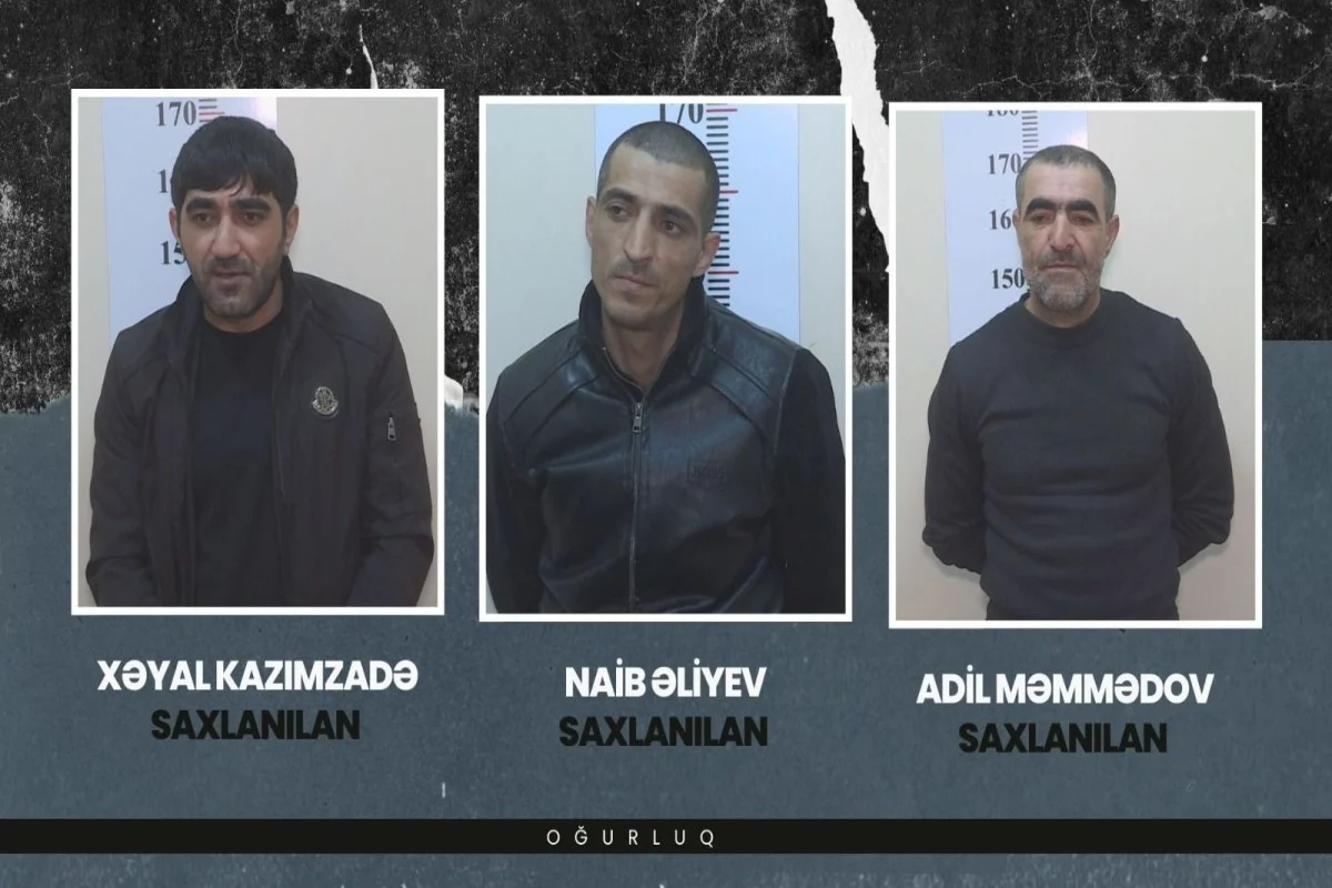 Gəncədə antik əşya oğruları saxlanıldı