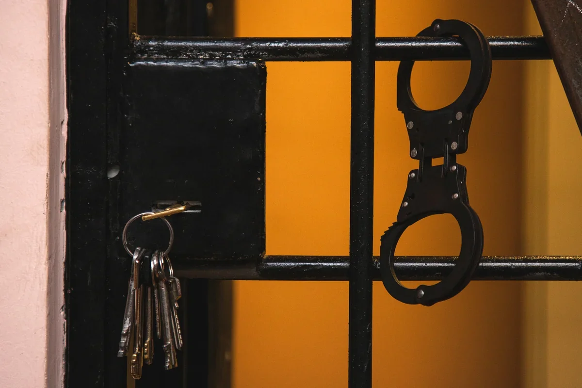 Göyçayda avtoxuliqan sürücü həbs edildi