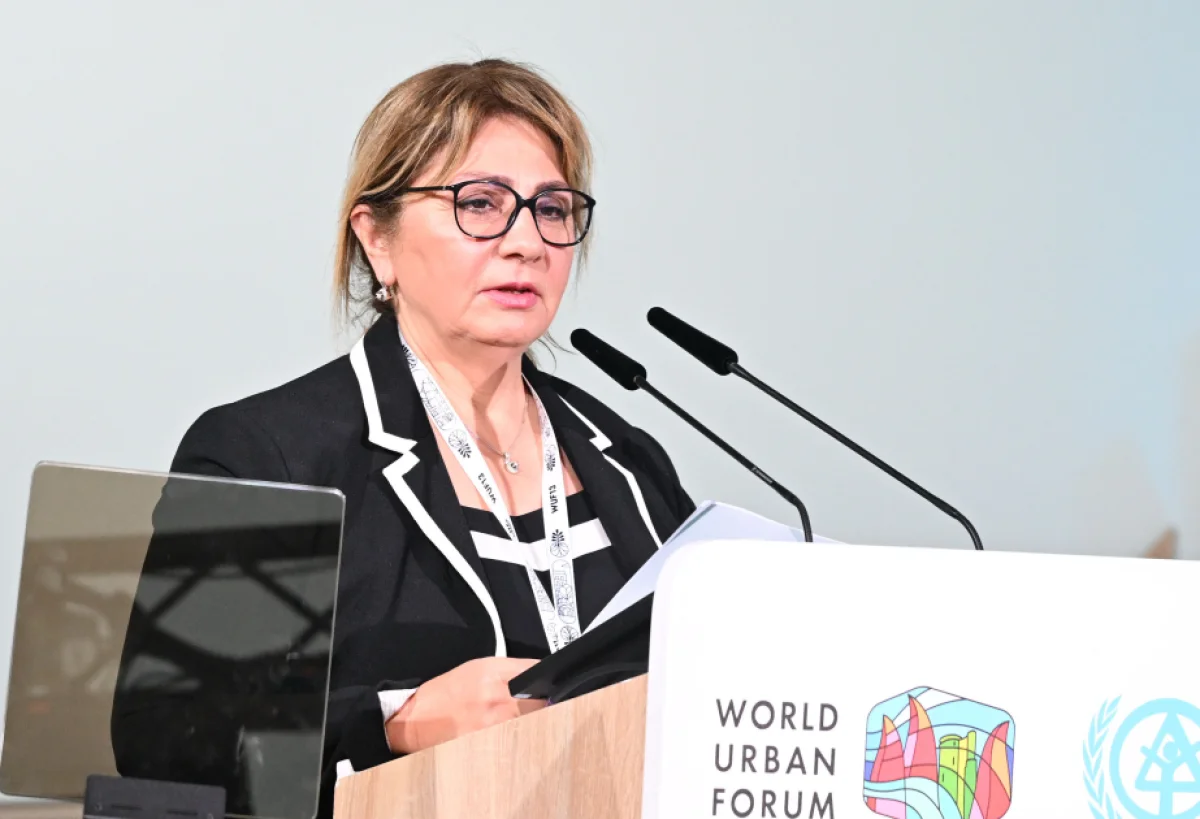 Gülşən Rzayeva: Gender bərabərliyi və təhlükəsiz şəhər modeli