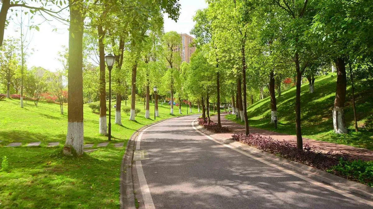 Gürcüstan Azərbaycanla sərhəd zonasında yeni milli park yaradır