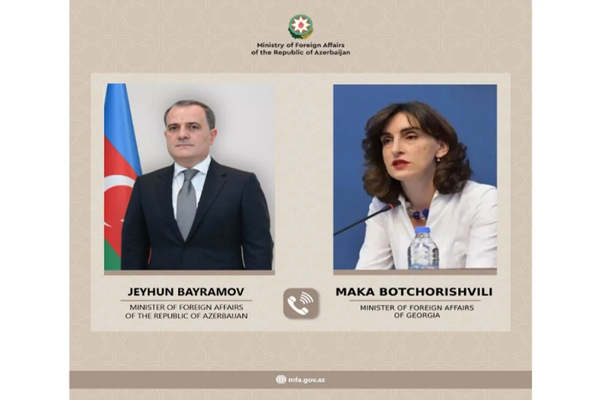 Gürcüstan və Azərbaycan XİN başçıları danışdı