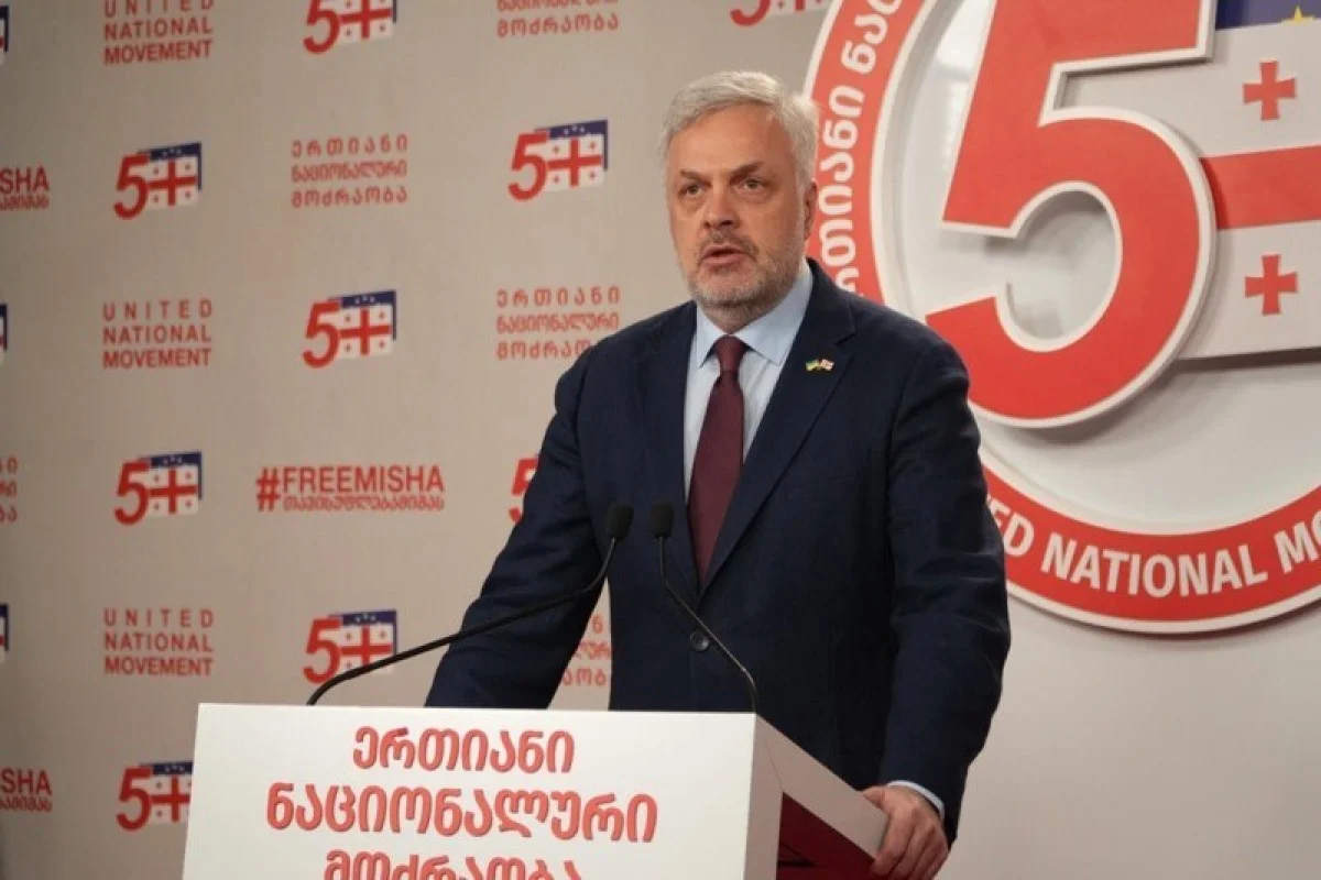Georgia initiates first criminal case for high treason