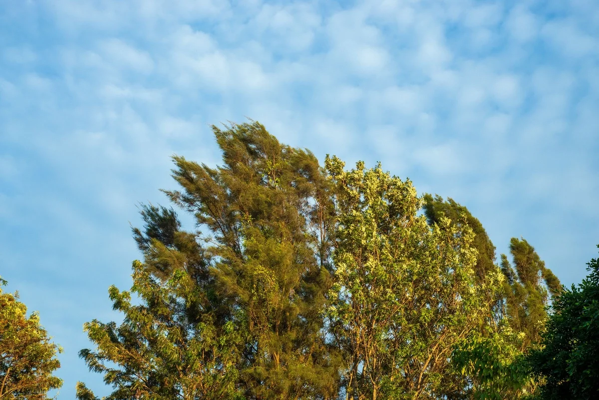 Hava proqnozu: Güclü külək və yağış barədə xəbərdarlıq