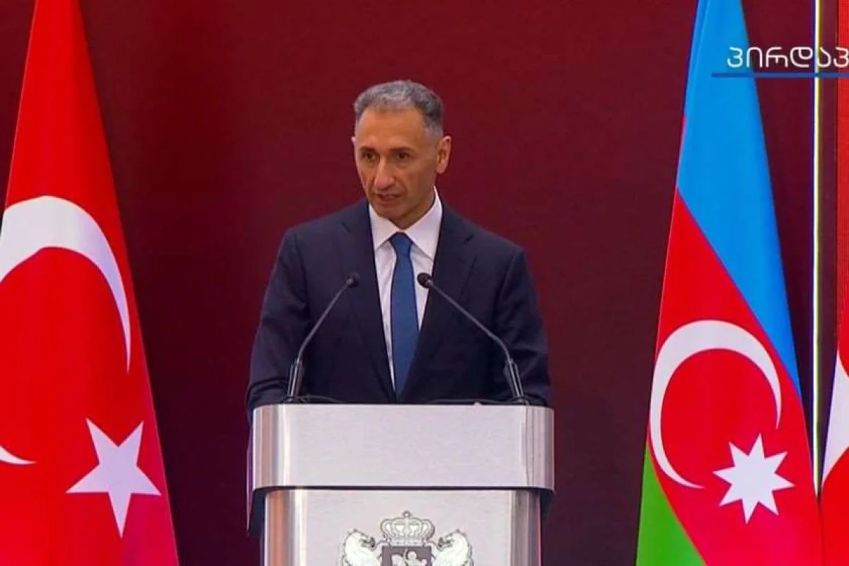 "Heydər Əliyev BTQ layihəsinin gələcəyini illər öncə görürdü" - Rəşad Nəbiyev