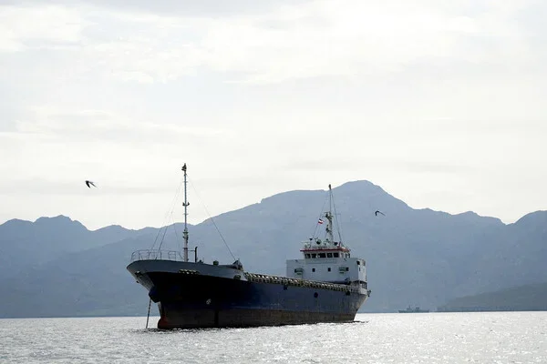 Supertanker strikes sea mines in Strait of Hormuz
