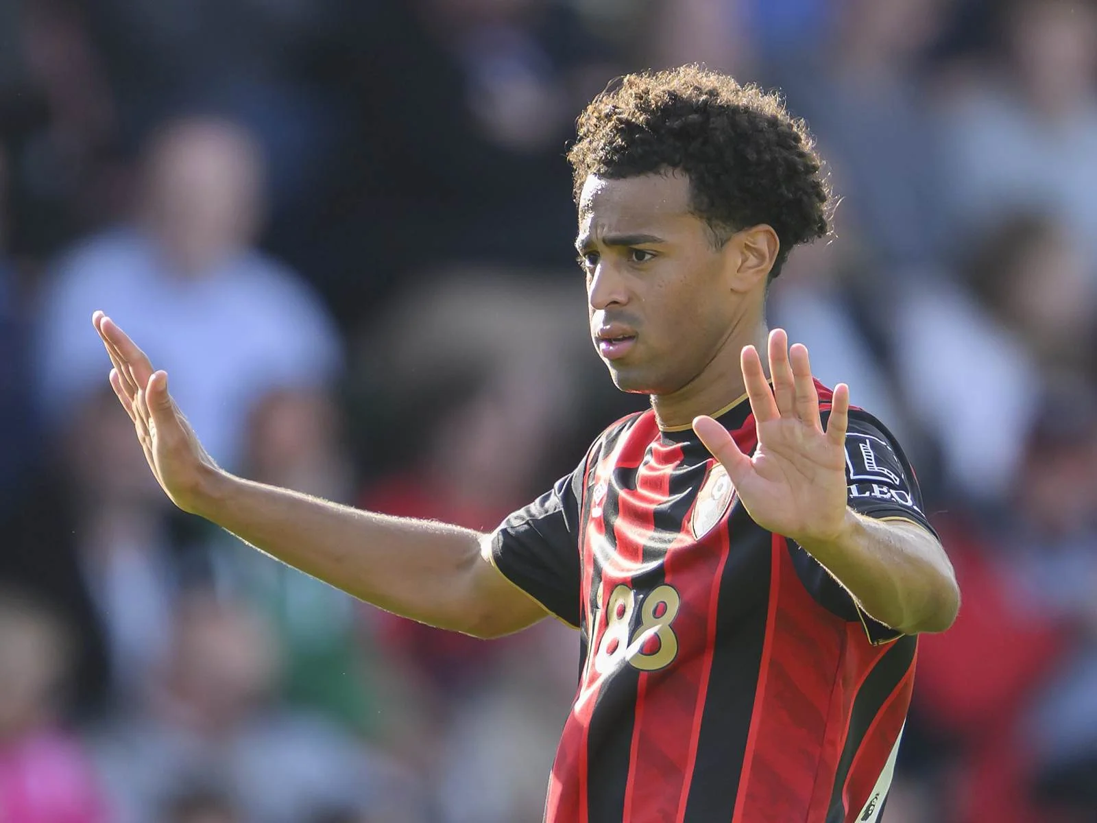Chelsea and Manchester United target Bournemouth's Tyler Adams