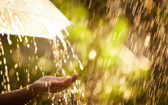 Weather forecast for June 15: Rain and thunderstorms expected