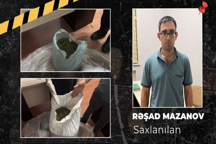 İsmayıllı meşəsində külli miqdarda narkotik vasitə tapıldı