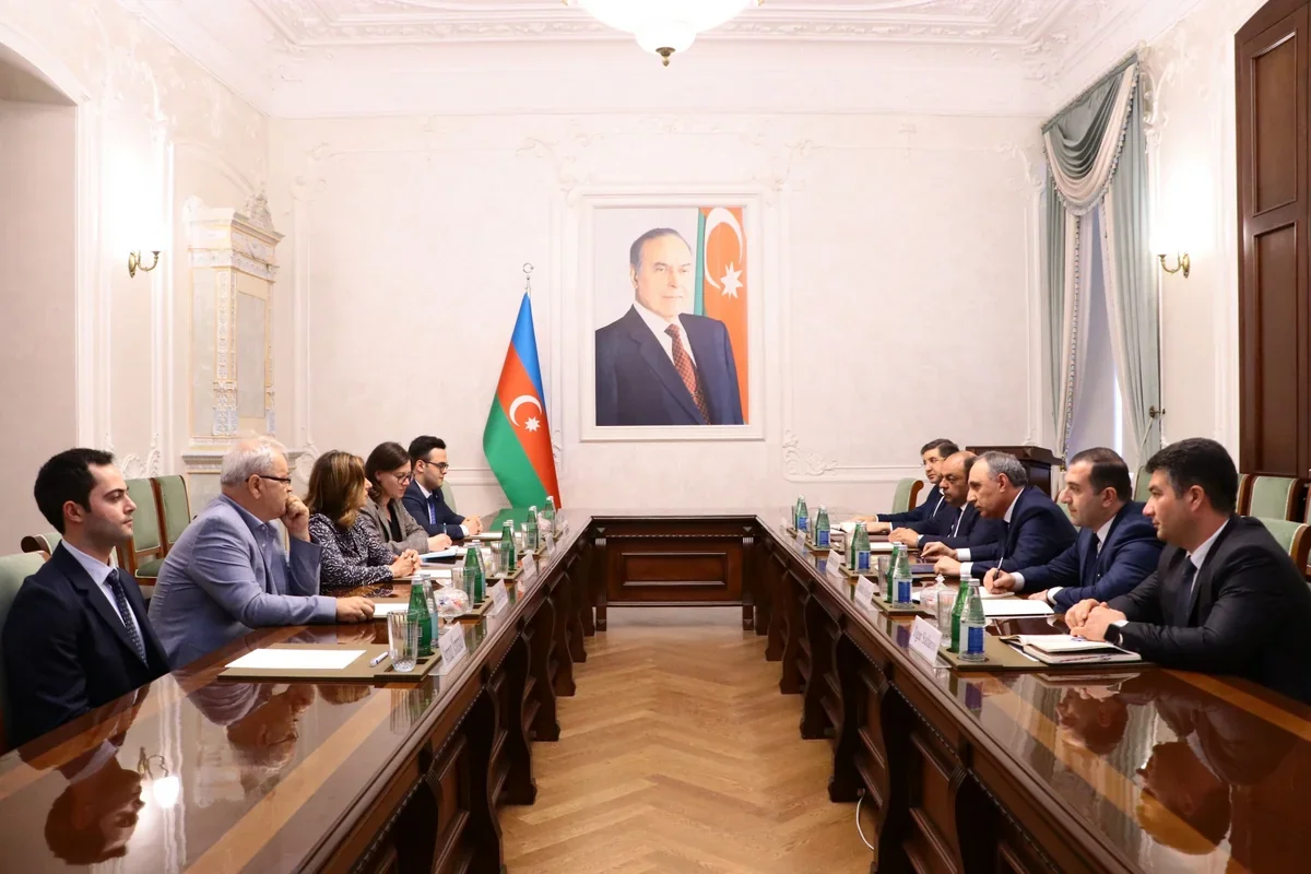 Kamran Əliyev İCMP rəhbəri ilə itkin düşənləri müzakirə etdi