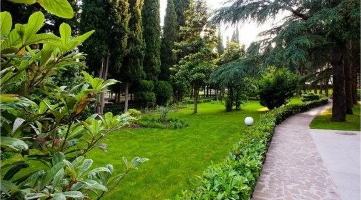Kənd təsərrüfatı torpaqlarında yaşıllıqlarla bağlı yeni qanun