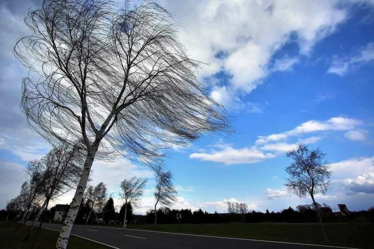 Küləkli hava şəraiti ilə bağlı sarı xəbərdarlıq verilib